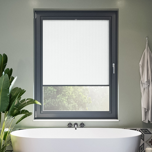 Delphi, Clarity - Perfect Fit Blind