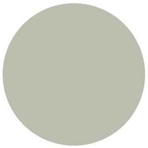 RailMatch 2206 Rail Grey (acrylic) (18ml)