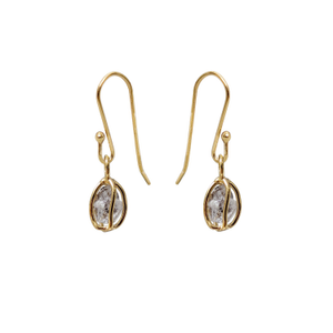 Herkimer Diamond Raw In Cage  Earrings (one size)