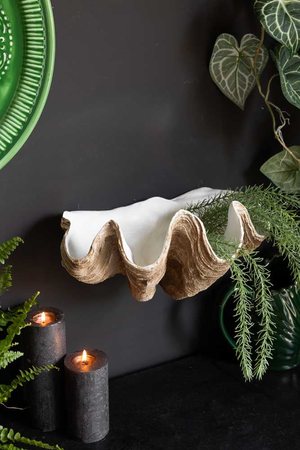 Clam Shell Wall Shelf