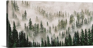 Misty Forest