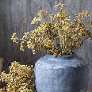 Artificial Meadow Sedge, Natural