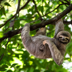 Costa Rica