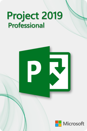 Microsoft Project 2019 Professional für 3 PC