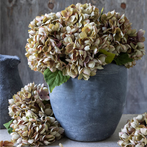 Artificial Hydrangea, Dusk