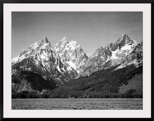 Grand Teton, Grassy Valley, Tree Covered Mountain Side And Snow Covered Peaks