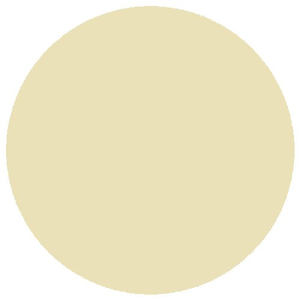 RailMatch 218 WR Cream (15ml enamel)