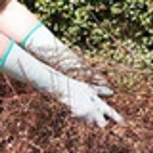 Scratch Proof Long Garden Gloves (pair)
