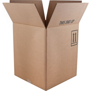 5 Gallon Overpack Carton for Non-UN Plastic Tight Head Containers