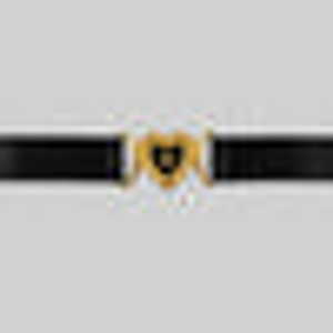 SOLEMN. Black Enamel Heart Satin Choker - Gold