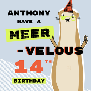 Moonpig Fun Meervelous Meerkat Illustrated 14th Birthday Card