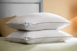 Sealy Anti-Allergy Pillow - 2 Pack