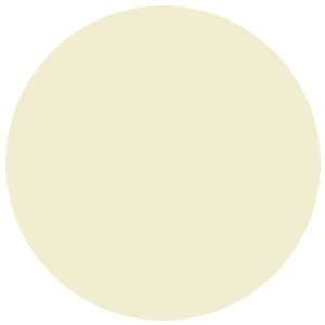 RailMatch 203 Rail White (15ml enamel)