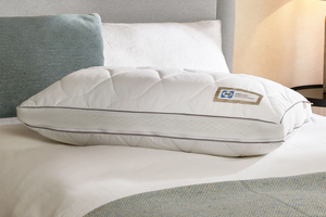Sealy Airflow Memory Foam Pillow