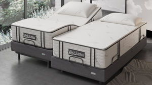 Back Science® Series 2 Hybrid Mattress