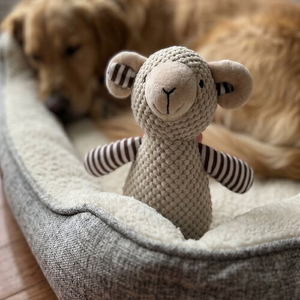 Ram Plush Dog Toy