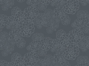 Aeonium - Blue Blood A4 Sample