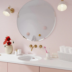 Pink 1" Penny Round Polished Porcelain Mosaic
