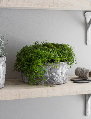 Withington Bowl 18.5cm - Ceramic, Grey