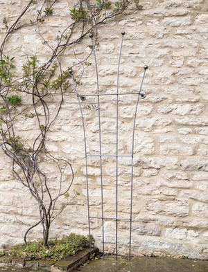 Barrington Honeysuckle Trellis - Raw Metal, Dark Grey