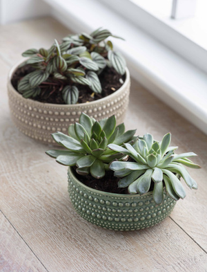 Castello Bowl 16cm - Ceramic, Foliage Green