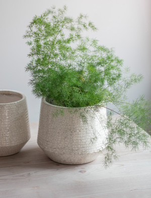 Ravello Ridged Pot 25cm - Stoneware, White