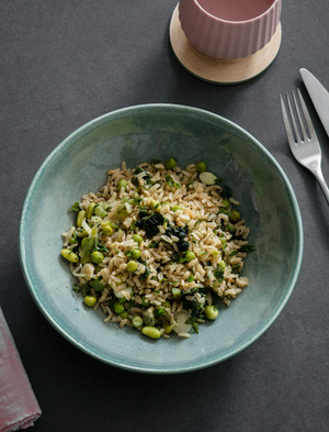 Winderton Pasta Bowl - Ceramic, Rosemary