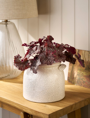 Ravello Pot With Handles 21cm - Stoneware, White