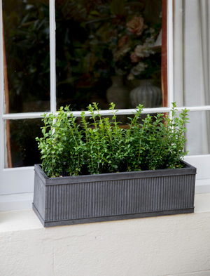 Vence Window Box 60cm - Galvanised Steel, Black