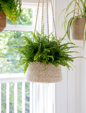 Hanging Plant Pot Tapered 25cm - Jute, Natural