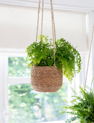 Hanging Plant Pot Short 17cm - Seagrass, Natural