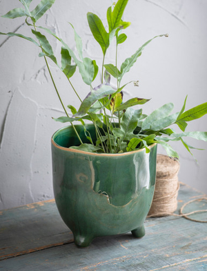 Positano Pot 20cm - Ceramic, Forest Green
