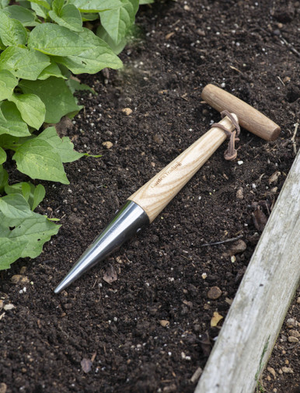 Hawkesbury Dibber - Ash Wood, Natural