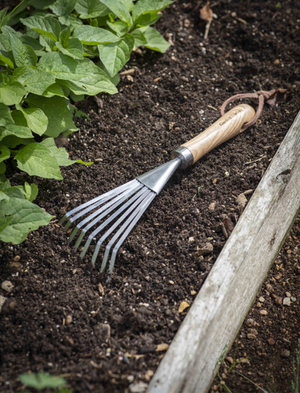 Hawkesbury Hand Rake - Ash Wood, Natural