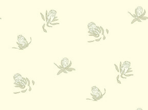 Buds - Hugo A4 Sample
