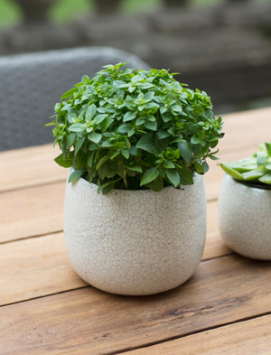 Ravello Pot 15.5cm - Stoneware, White