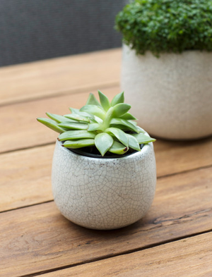 Ravello Pot 11.5cm - Stoneware, White