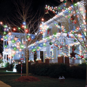 100 LED Connectible Christmas Lights