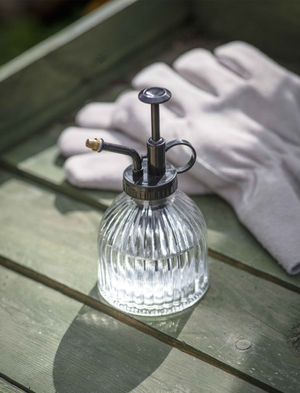 Classic Mister - Glass, Clear