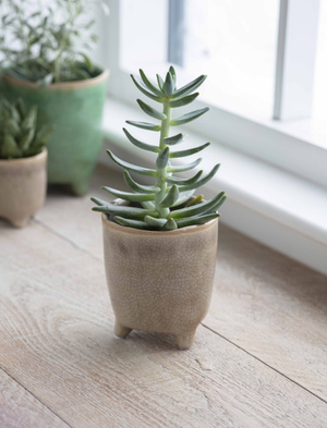 Positano Pot 10.2cm - Ceramic, Stone