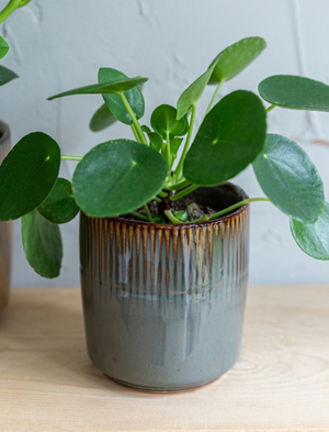 Hillesley Pot 13.5cm - Ceramic, Grey
