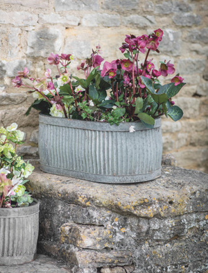 Vence Oval Trough 59cm - Galvanised Steel, Grey