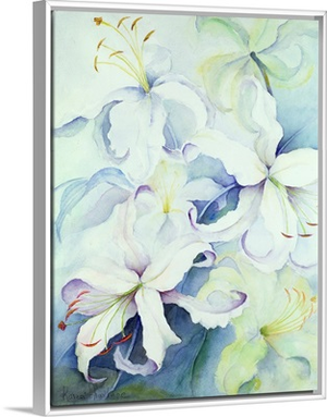 Lilium, Imperial Gold