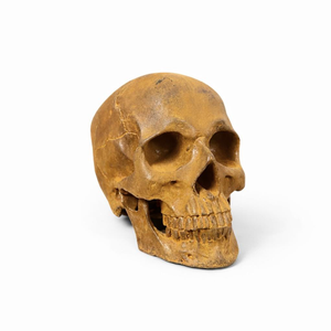 Cast Iron Skull Statue