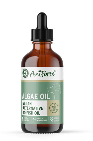 Algae Oil 50ml