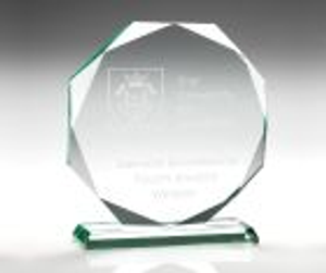 Octagonal Business Award Trophy