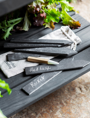 Classic Plant Tags With Pencil - Slate, Natural, Set of 6