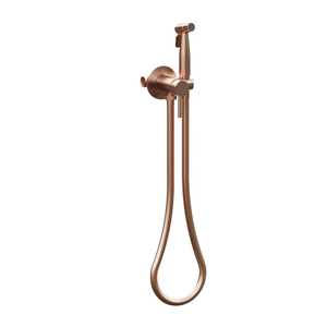 Bidetset met handdouche volledig rvs koud water