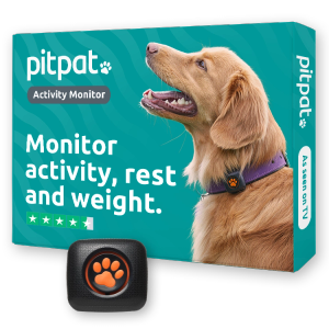 PitPat Dog Activity Monitor