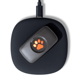 Charging pad and cable for PitPat GPS Tracker
